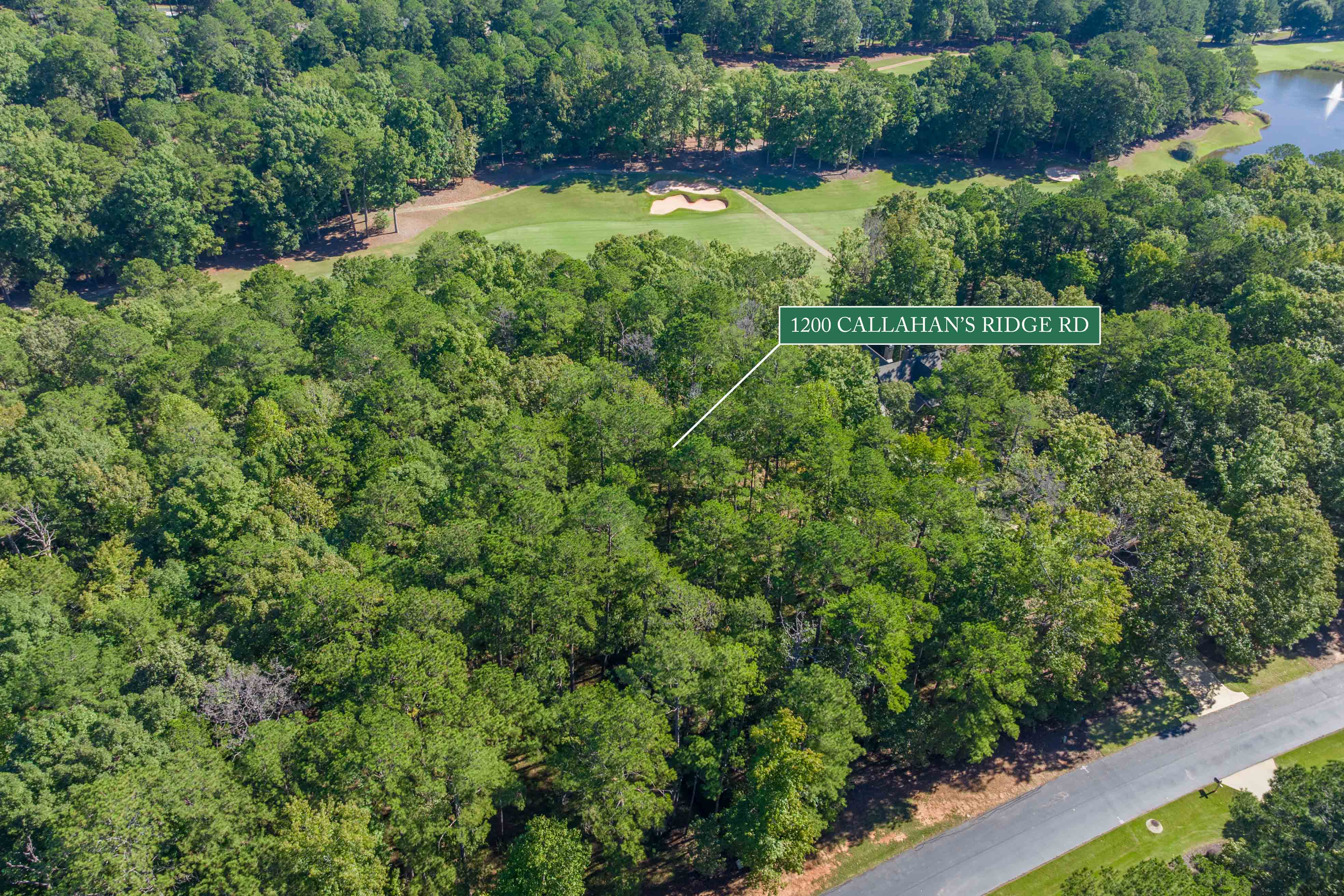 1200 Callahan's Ridge Road image 19